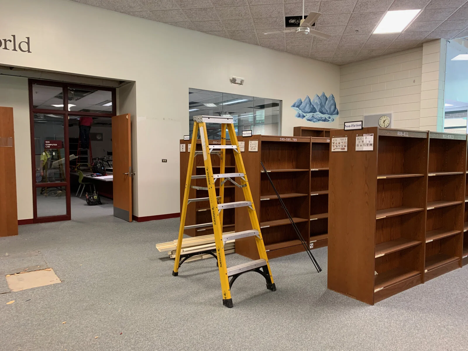 ladder set up in front of bookshelves